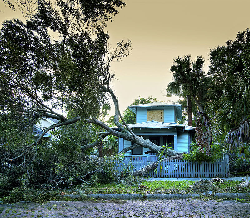 We help clients prepare for and recover from disasters.